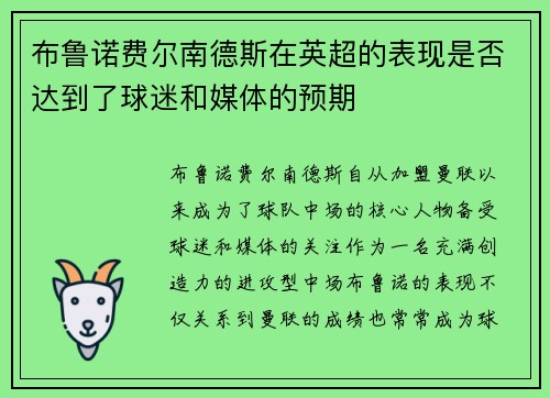 布鲁诺费尔南德斯在英超的表现是否达到了球迷和媒体的预期